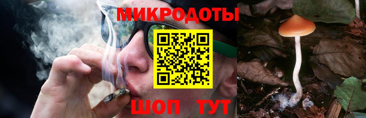 Галлюциногенные грибы прущие грибы Новочебоксарск