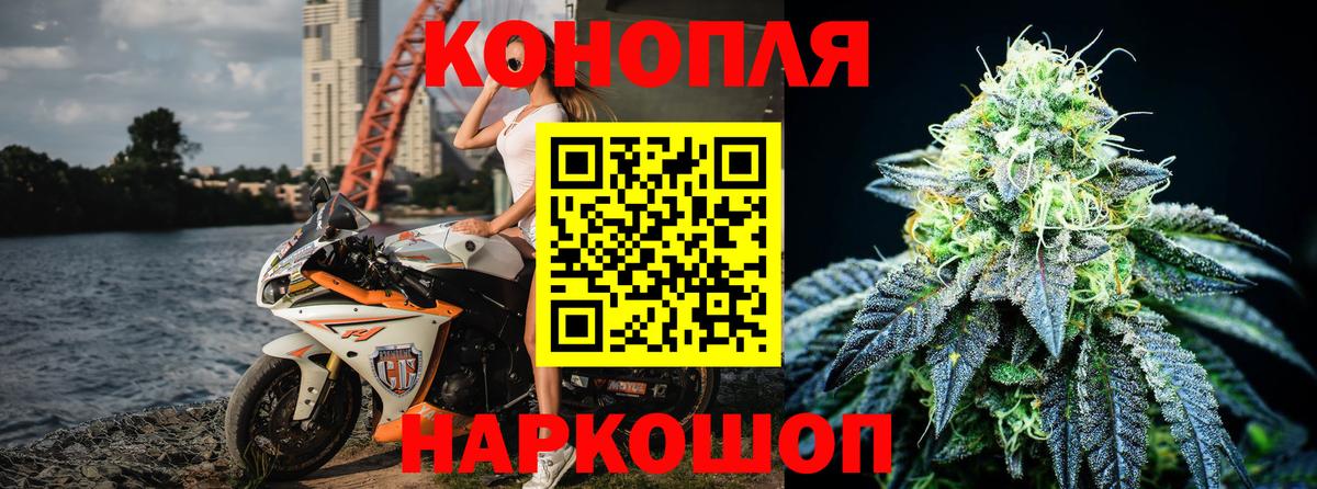 Канабис сатива Новочебоксарск